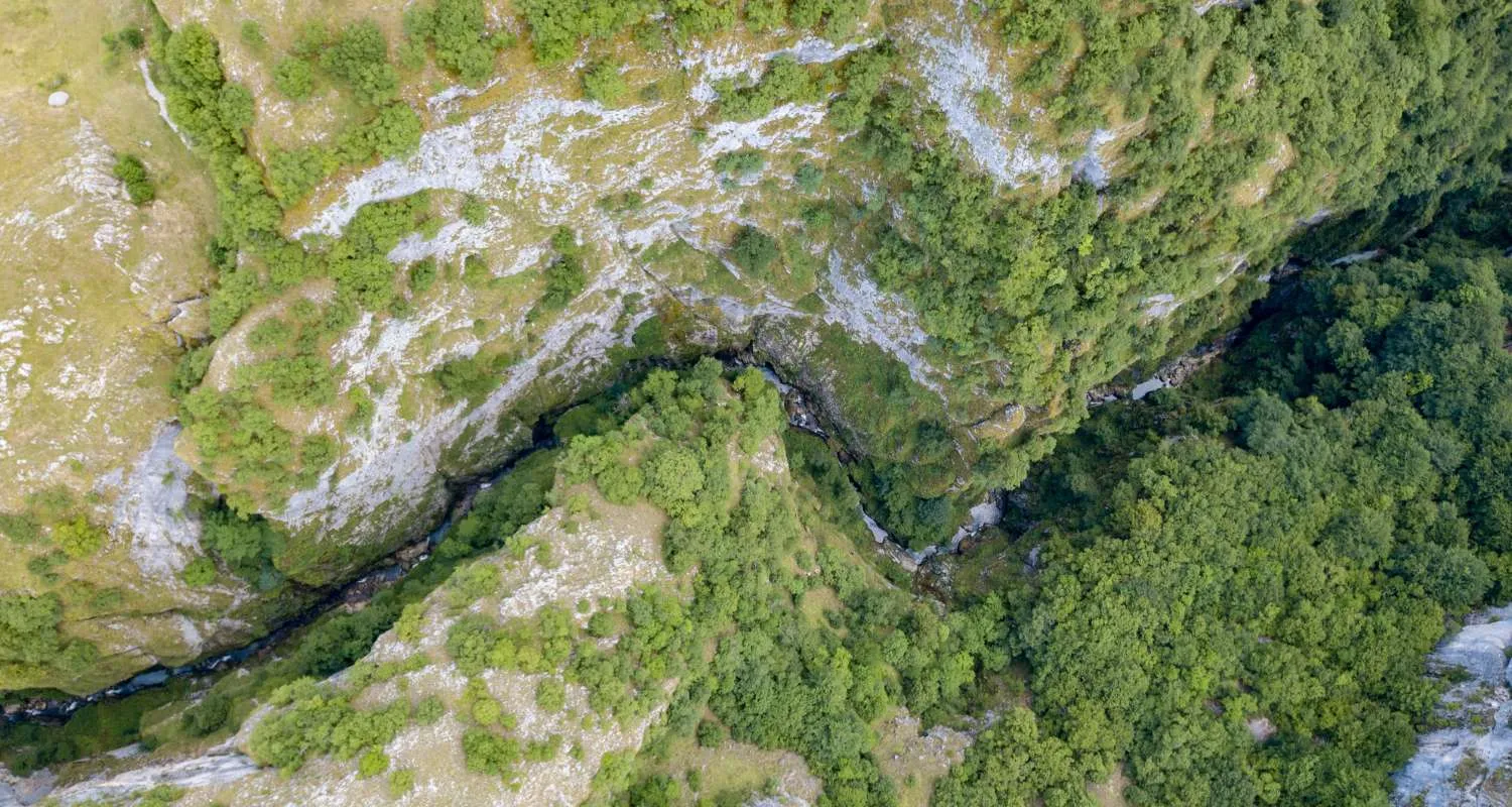 Aerial perspective of Nevidio Canyon carved between steep green cliffs in Durmitor National Park