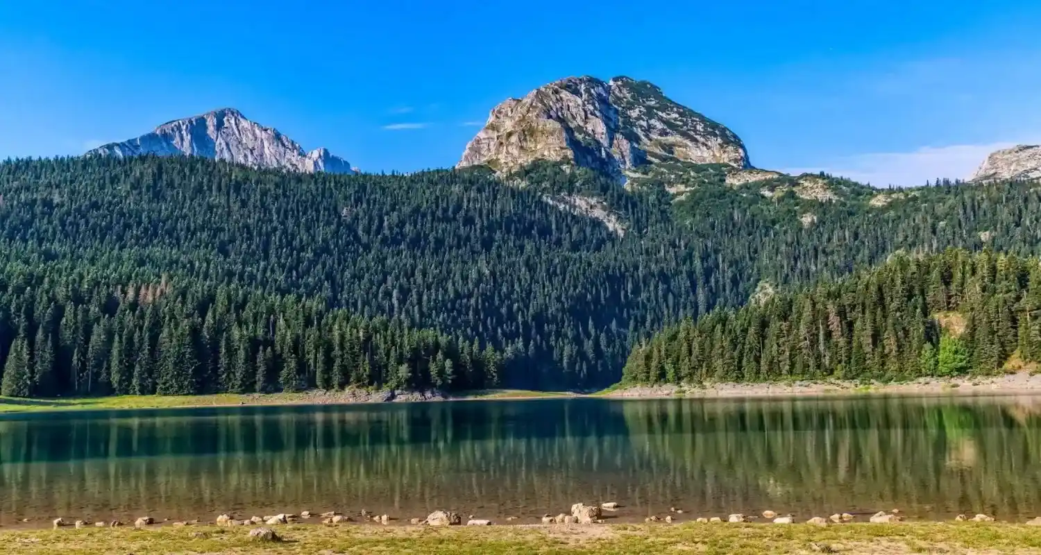 Crno jezero okruženo borovom šumom i planinskim vrhovima na Durmitoru 