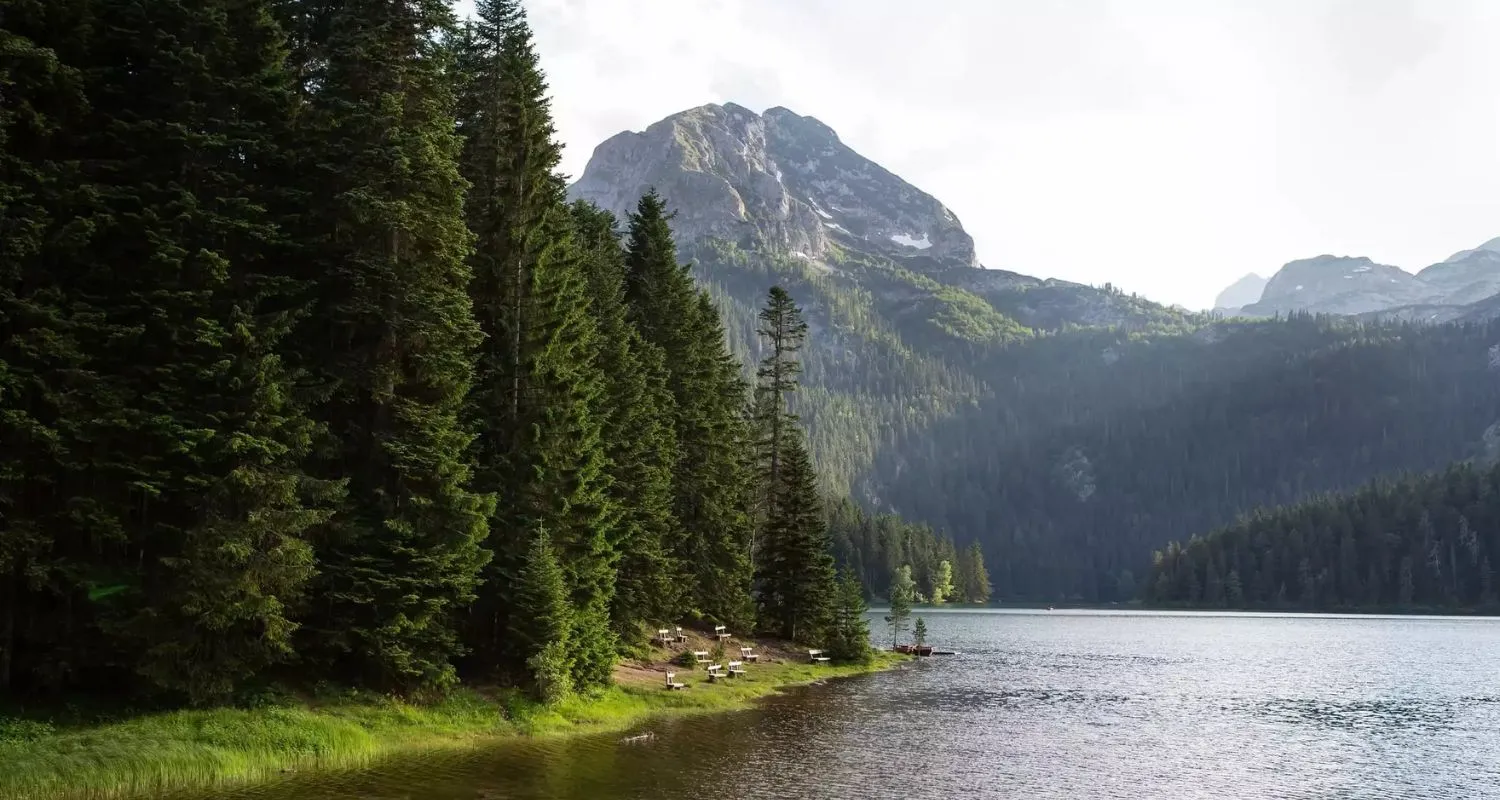 Obala Crnog jezera sa gustim četinarskim šumama i planinama u pozadini 