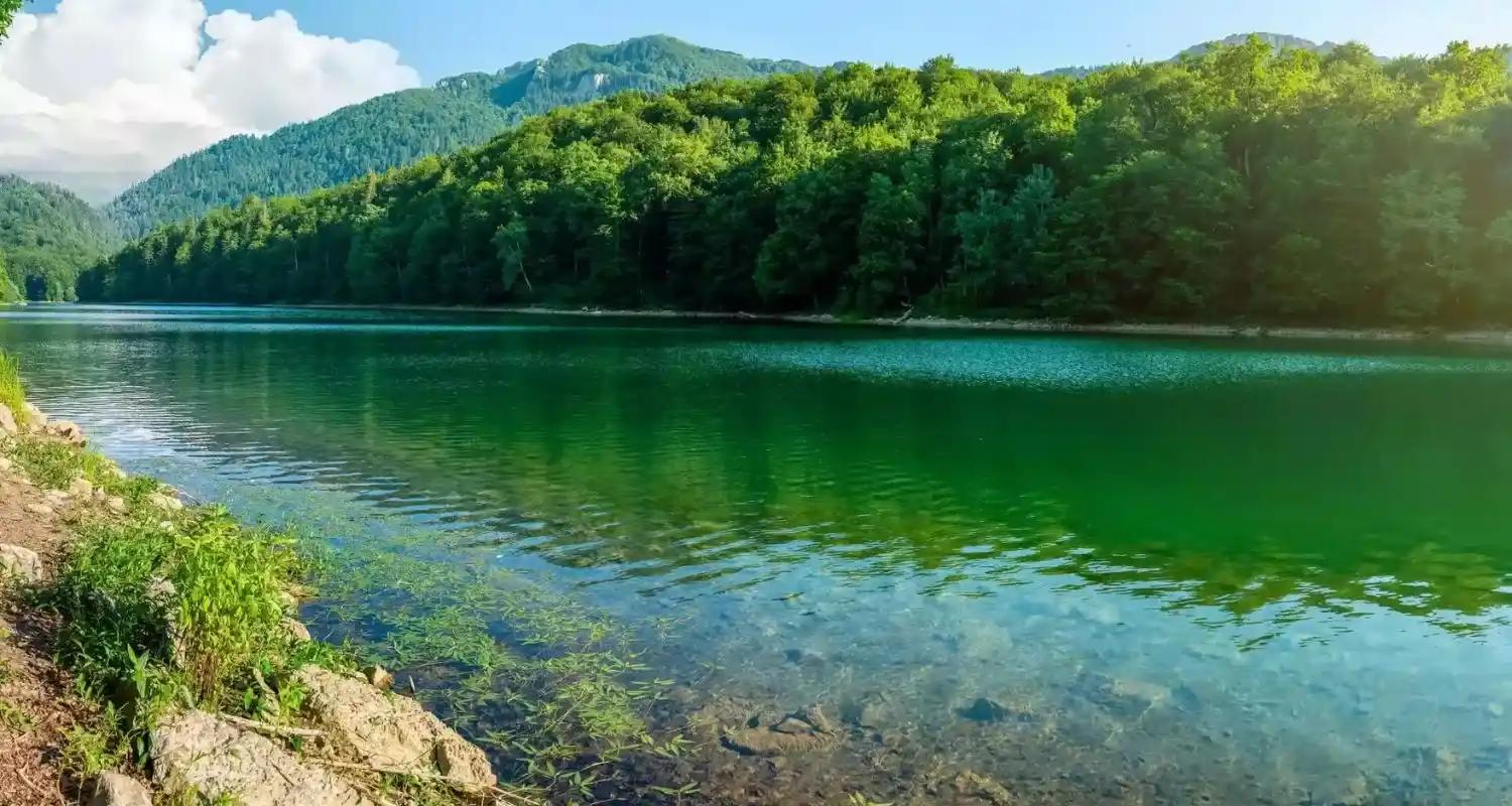 Zelena voda Crnog jezera i šumovita obala tokom ljetnjeg dana 